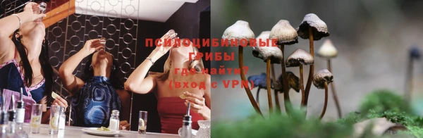гашик Алзамай
