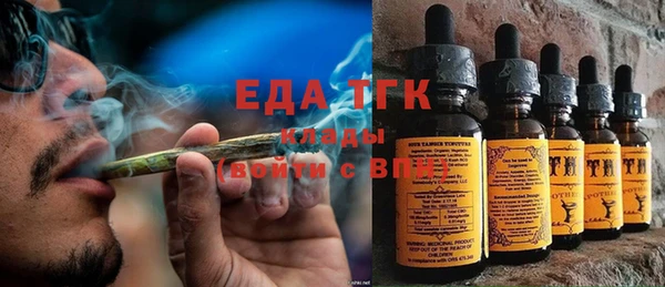 гашик Алзамай