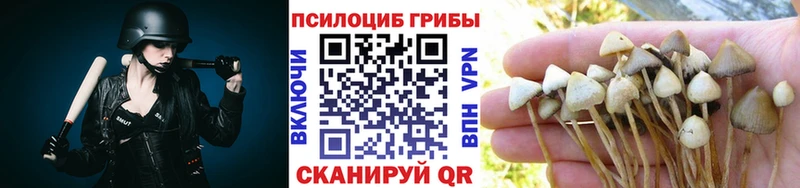 где можно купить   Остров  Псилоцибиновые грибы мицелий 